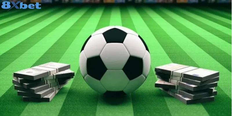 Tại sao nên chọn 8xbet cá cược bóng đá